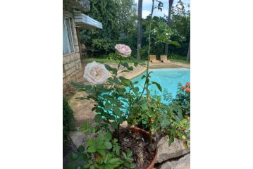 Camellia Haven Guest house, Pretoria - 4