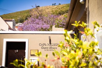 Cape Nelson Guest house, Cape Town - 2