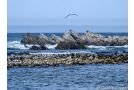 Cape Recife Lighthouse - Est. 1849 Villa, Port Elizabeth - thumb 10