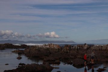 Cape Robin's Nest Apartment, Hermanus - 5