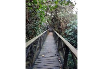 Caribbeans Estates 76/34 Guest house, Port Edward - 4
