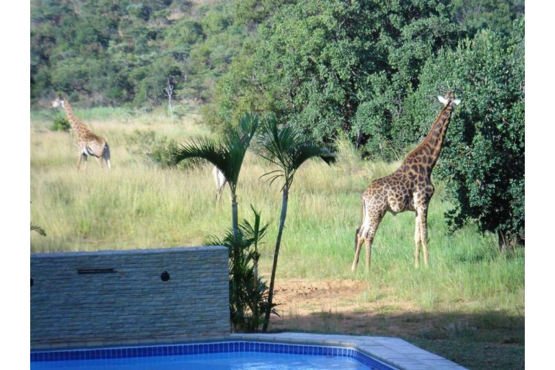 La Barune Game Lodge Guest house, Vaalwater - imaginea 18