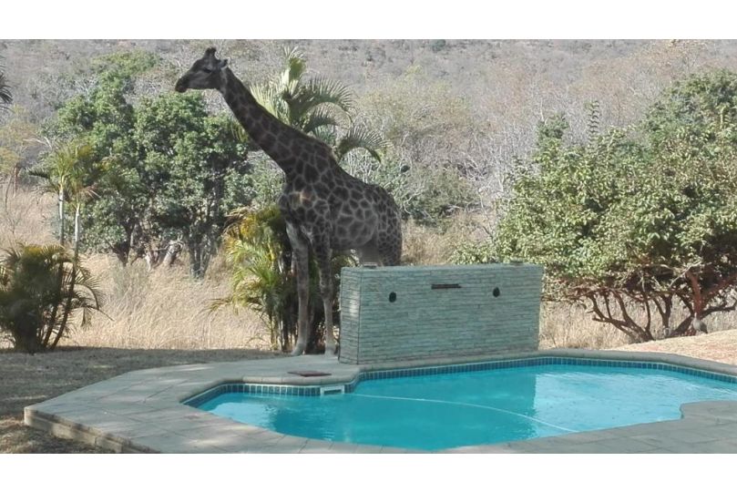 La Barune Game Lodge Guest house, Vaalwater - imaginea 12