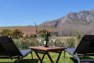 Charming Villa, Stellenbosch - 1