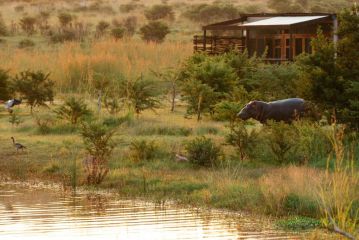 Cheetah Ridge Lodge Hotel, Nambiti Private Game Reserve - 5