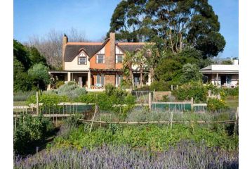 Chez Alice Guest house, Noordhoek - 4