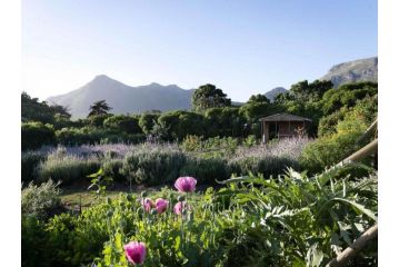Chez Alice Guest house, Noordhoek - 1
