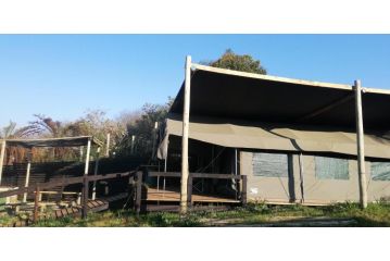 Chosen Glamping Tents Campsite, Graskop - 2