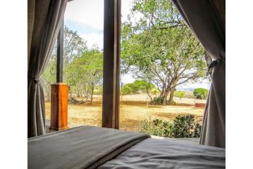 Chumbi Bush House Guest house, Hluhluwe - 5