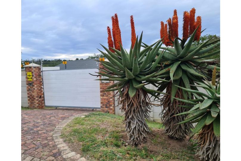 Cottage on Ilchester Bed and breakfast, Grahamstown - imaginea 3