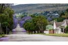Cottage on Ilchester Bed and breakfast, Grahamstown - thumb 11