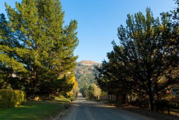 Cottage Pie Guest house, Clarens - 1