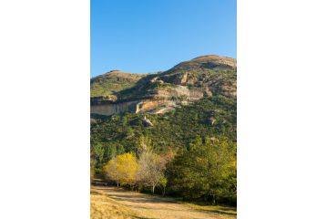Cottage Pie Guest house, Clarens - 3