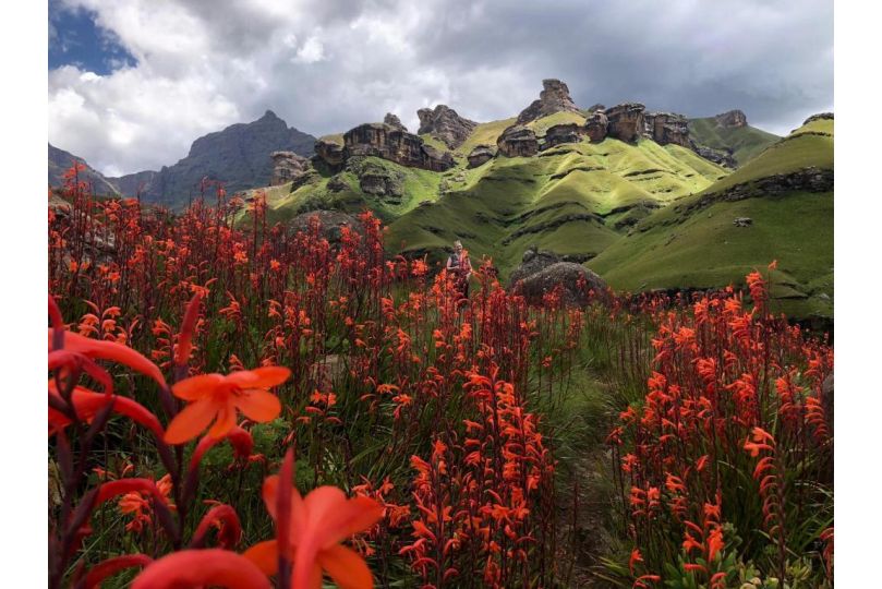 Country Comfort Underberg Bed and breakfast, Underberg - imaginea 5