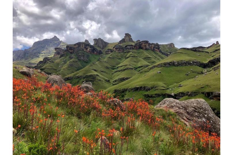 Country Comfort Underberg Bed and breakfast, Underberg - imaginea 10