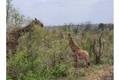 Crocodile Bend Villa, Mpakeni - thumb 15