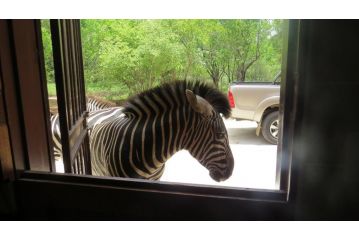 Crowe's Nest Guest house, Marloth Park - 3