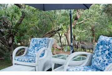 De Bruine Huis Guest house, Marloth Park - 4