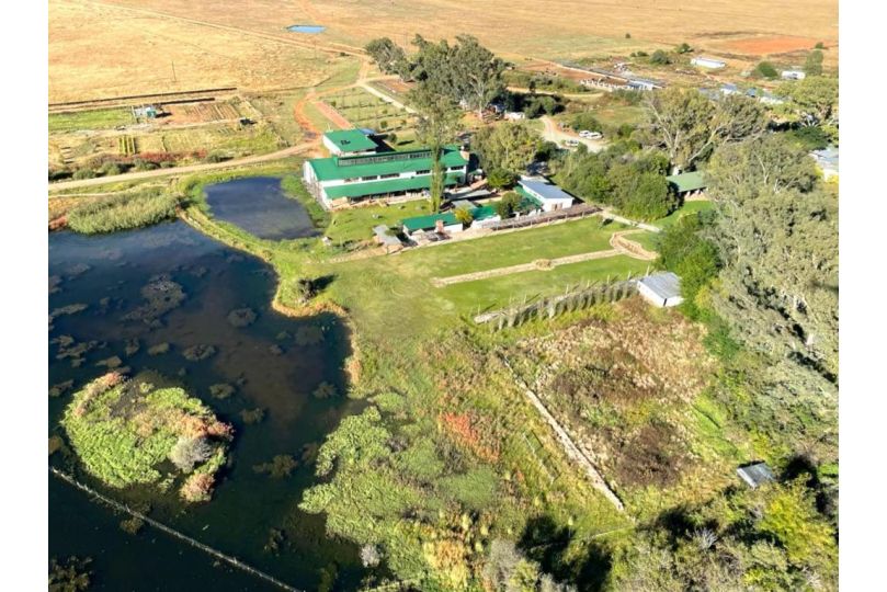 De Oude Kraal Country Estate & Spa Guest house, Bloemfontein - imaginea 1