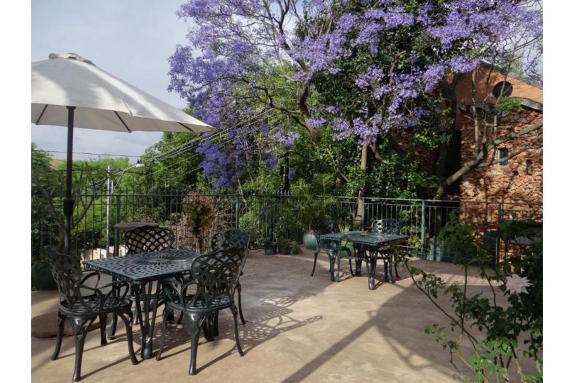 Agterplaas Guesthouse Bed and breakfast, Johannesburg - imaginea 9