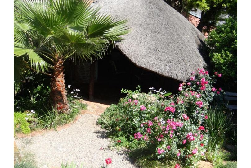 Agterplaas Guesthouse Bed and breakfast, Johannesburg - imaginea 14