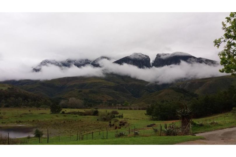 Die Hoenderhok and Die Plaashuisie Farm stay, Swellendam - imaginea 5