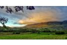 Die Hoenderhok and Die Plaashuisie Farm stay, Swellendam - thumb 6