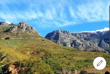 Disa Park Studio with Mountain Views Apartment, Cape Town - 4