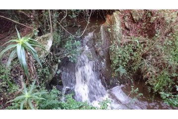 Dolphin View Guesthouse Guest house, Jeffreys Bay - 3