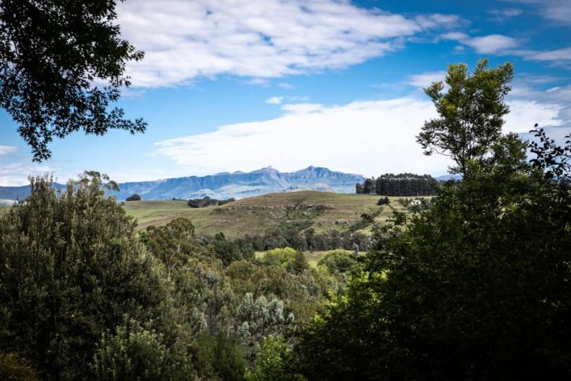 Douglas Drift Cottages Farm stay, Underberg - imaginea 1