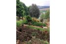 Douglas Drift Cottages Farm stay, Underberg - thumb 16