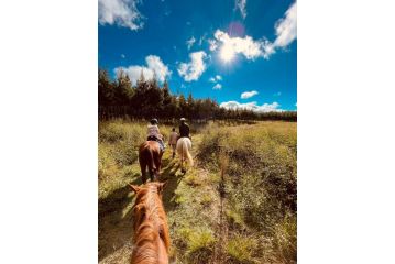 Dragons Landing Guest Farm Guest house, Underberg - 3