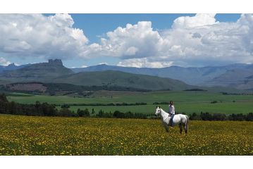 Dragons Landing Guest Farm Guest house, Underberg - 2