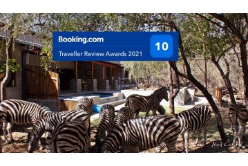 Dream of Africa Bush Lodge Hotel, Marloth Park - 2