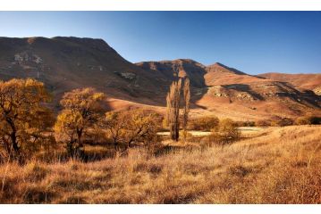 Dynasty Red Mountain Ranch Guest house, Clarens - 5