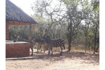 Eagle's Crest Guest house, Marloth Park - 5