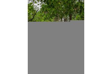 Eagles' Call Cottages and Tent Guest house, Wilderness - 4