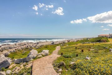 Easy Going Hermanus With An Ocean View Apartment, Hermanus - 1