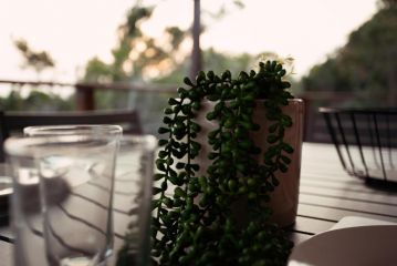Edge of Eden Apartment, Wilderness - 4