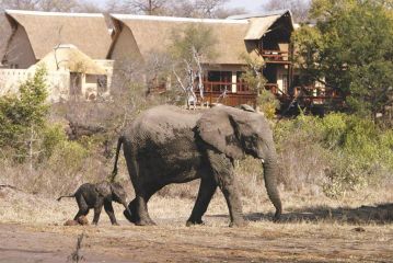 Elephant Plains Game Lodge Hotel, Sabi Sand Game Reserve - 2