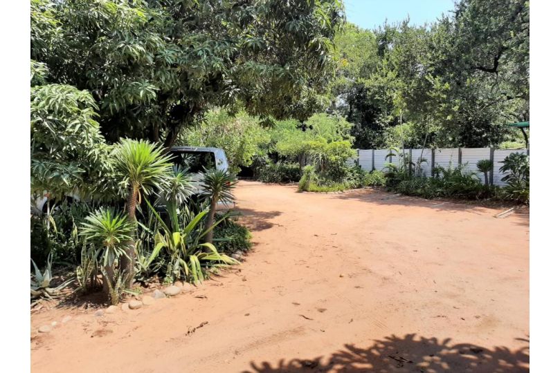 Elephant Walk Guesthouse and Back Packers Guest house, Phalaborwa - imaginea 14