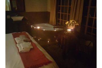 Essential Rose Room African Silhouette Country House for Essential Workers Guest house, Benoni - 5