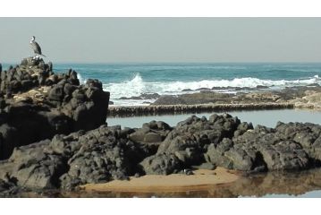 Evergreen Salt Rock Apartment, Ballito - 1