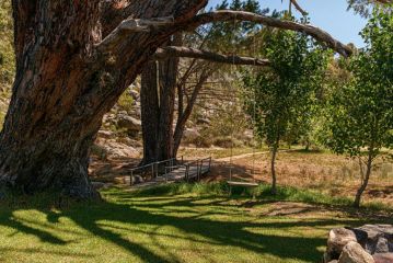 Fairfield Cottages Apartment, Ceres - 1