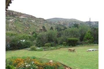 Fairview Cottages Guest house, Clarens - 1