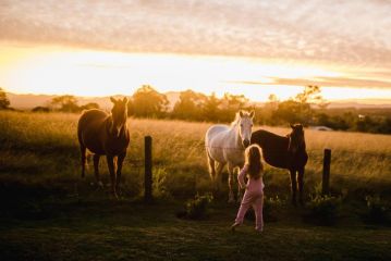 Fernhill Guest Farm Cottages Farm stay, Knysna - 2