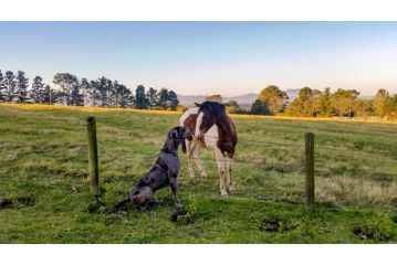 Fernhill Guest Farm Cottages Farm stay, Knysna - 4