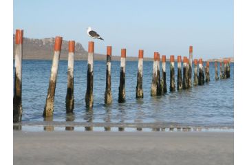 Flamingo's Nest Apartment, Langebaan - 2