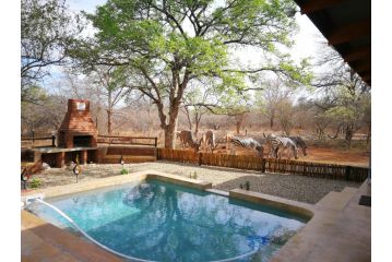Flight of the Eagle @ Kruger Guest house, Marloth Park - 2