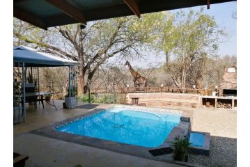 Flight of the Eagle @ Kruger Guest house, Marloth Park - 3